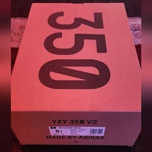 Adidas Yeezy 350 v2